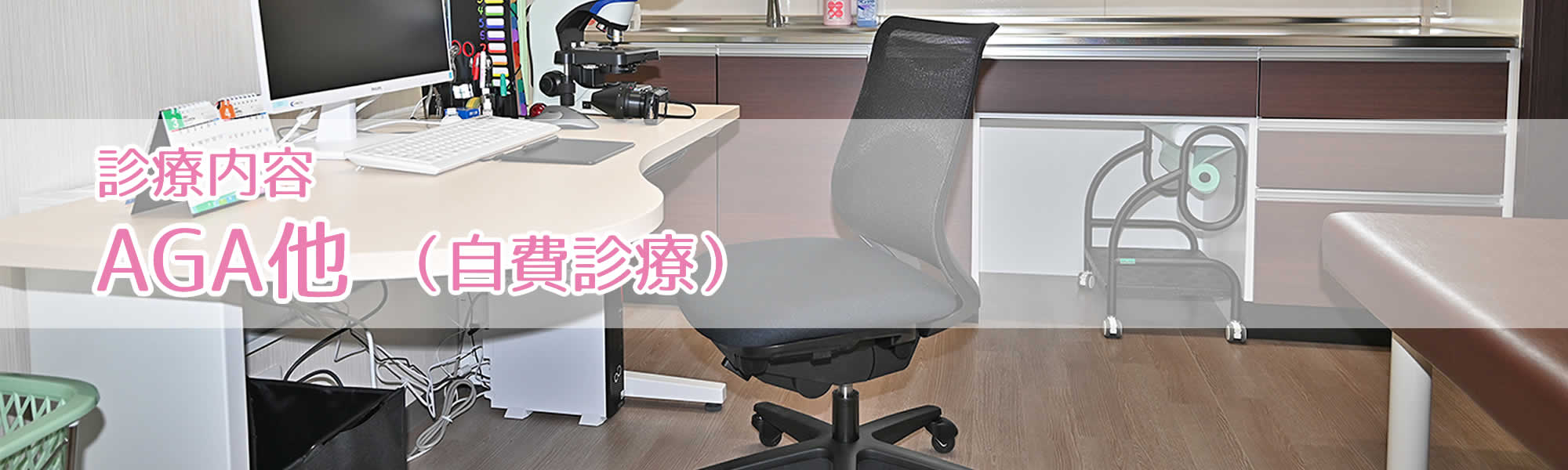 診療内容 AGA他