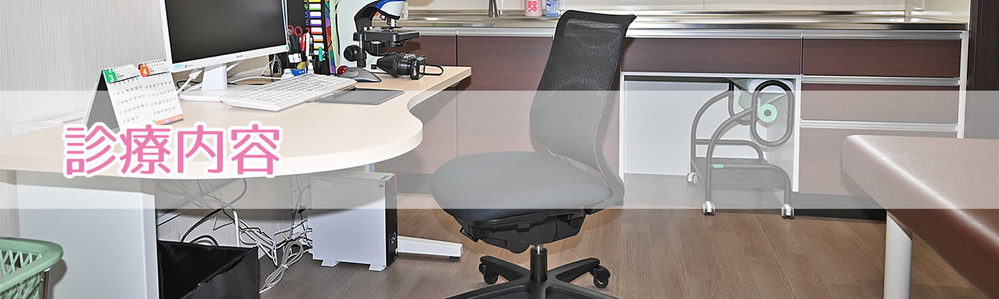 診療内容