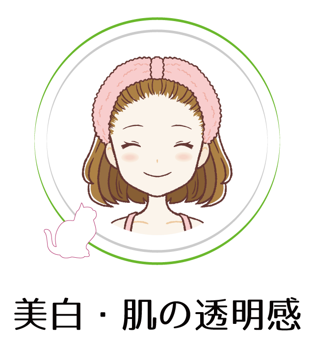 美白・肌の透明感